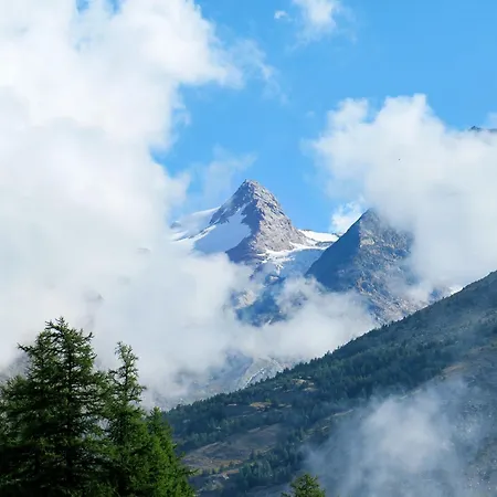 Mier Gfallt's By Interhome 公寓 *